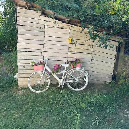 ива 펜션 Krasno Gradishte